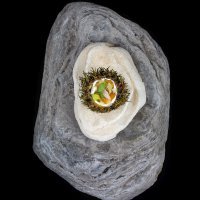 oricio-holandesa-yogurt-aromaticos