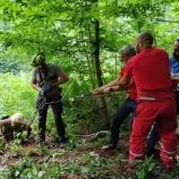 Spašavanje migranta kod Cetingrada