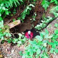 Spašavanje migranta kod Cetingrada