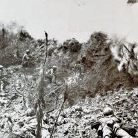 Američko osvajanje otoka Peleliu 1944.