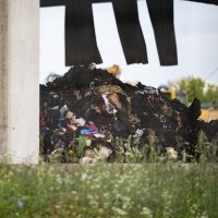 Požar na Jakuševcu