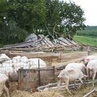 OPG Merc u Novoj Pisanici poharalo strašno nevrijeme