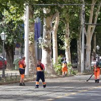 Vatrogasci uklonili stablo s pruge na Trgu Republike Austrije