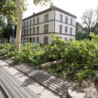 Vatrogasci uklonili stablo s pruge na Trgu Republike Austrije