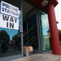 Psi na biralištima u Britaniji