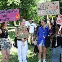 Prosvjed u Vrginmostu