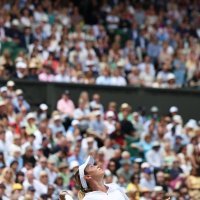 Donna Vekić - Jasmine Paolini, polufinale Wimbledona (11.7.2024.)