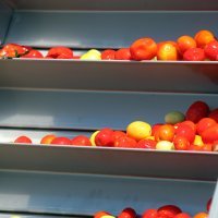 Podravkina tvornica za rajčice u Varaždinu