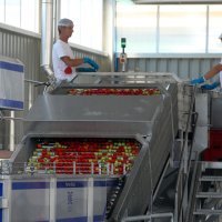 Podravkina tvornica za rajčice u Varaždinu