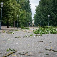 Posljedice noćašnjeg nevremena u parku Maksimir