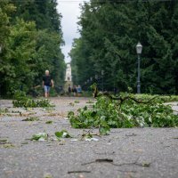 Posljedice noćašnjeg nevremena u parku Maksimir