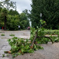 Posljedice noćašnjeg nevremena u parku Maksimir