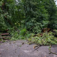 Posljedice noćašnjeg nevremena u parku Maksimir