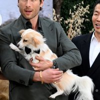 Glen Powell s psom Brisketom