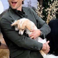 Glen Powell s psom Brisketom