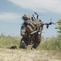 Organizacija Wild Hornets tvrdi da se trenutno koristi stotinjak Queen Horneta