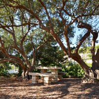 Državna rezidencija vila Kovač na Hvaru