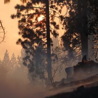 Požar u Kaliforniji