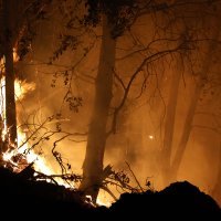 Požar u Kaliforniji