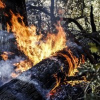 Požar u Kaliforniji