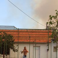 Veliki požar u zaleđu Skradina