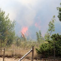 Veliki požar u zaleđu Skradina
