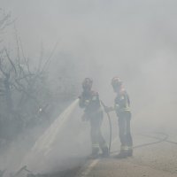 Požar kod Skradina - Plastovo