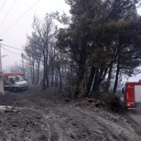 Tučepi: Posljedice katastrofalnog požara