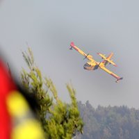 Vatrogasci se bore s požarom na potezu Plastovo i Dubravica nedaleko NP Krka