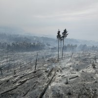 Park prirode Biokovo nakon požara