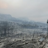 Park prirode Biokovo nakon požara