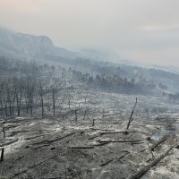 Park prirode Biokovo nakon požara