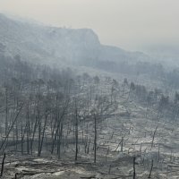 Park prirode Biokovo nakon požara