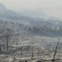 Park prirode Biokovo nakon požara