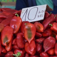 Paprika roga za ajvar