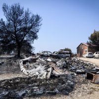 Izgorene šume i maslinici u skradinskom zaleđu