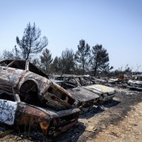 Izgorene šume i maslinici u skradinskom zaleđu