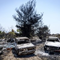 Izgorene šume i maslinici u skradinskom zaleđu