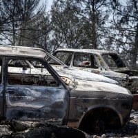 Izgorene šume i maslinici u skradinskom zaleđu