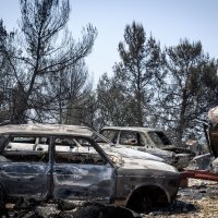 Izgorene šume i maslinici u skradinskom zaleđu