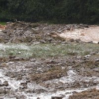 Olujno nevrijeme poharalo Njemačku