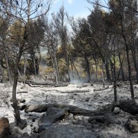 Požar poharao Tučepe i Podgoru