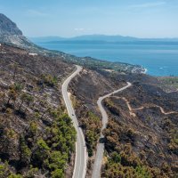 Biokovo nakon požara