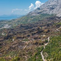 Biokovo nakon požara