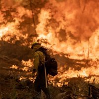 Požar u Kaliforniji