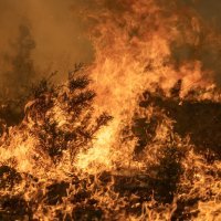 Požar u Kaliforniji