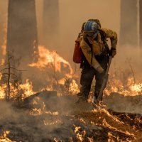 Požar u Kaliforniji