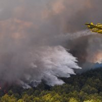 Požar u šibenskom naselju Rokići