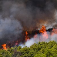 Požar u šibenskom naselju Rokići