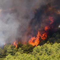 Požar u šibenskom naselju Rokići